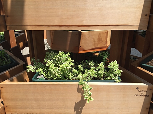 天王洲アイル　水上施設工事（ハーブのモニュメント）